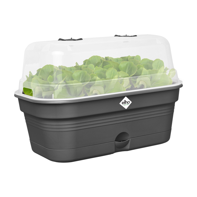 green basics grow tray allin1 l living black